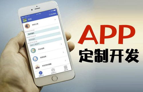 青海手机app开发软件推荐